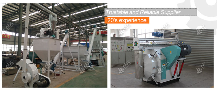 2TPH Ring Die Feed Pellet Machinery for Cattle and poultry