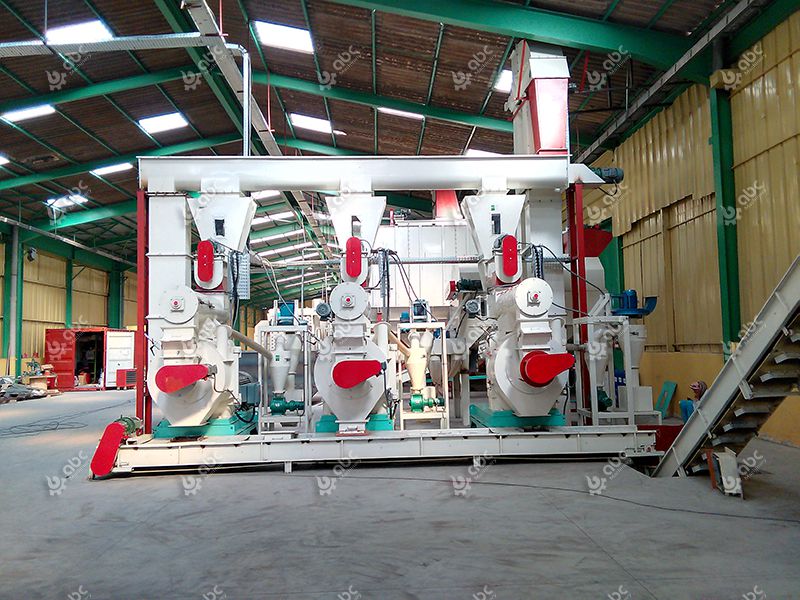  3.6~4.5 TPH Wood Pellet Plant Business Setup in Morocco