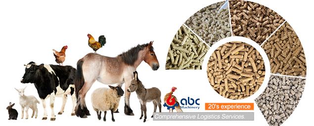 Animal Feed Making Business