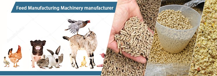 Feed Pellets Production Technology for Poultry and Livestock