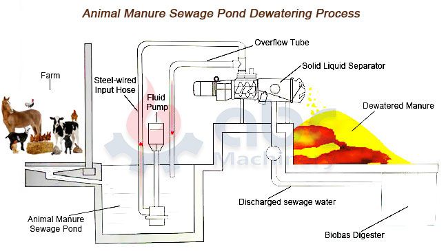 livestock and poultry manure sewage pond dewatering process