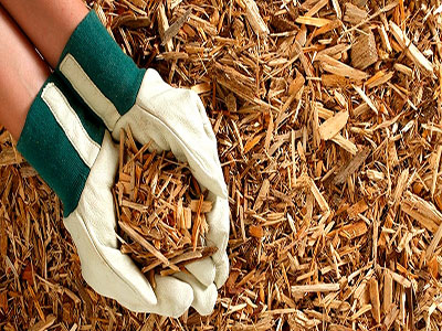 Wood Chips as Biomass Pellets Material 