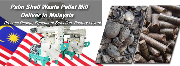 Biomass Palm Waste Pellets Making Machines Deliver to Malaysia 