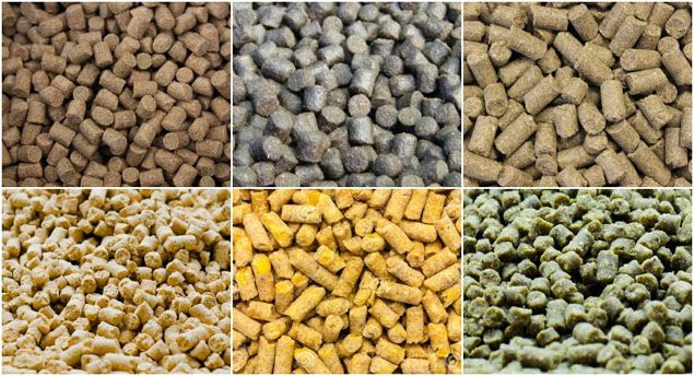 600~1000kg/hour Small Feed Pellet Mill Plant for Cattle and Poultry
