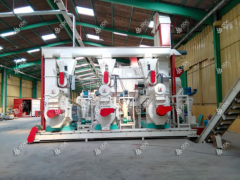 Factory Price Ring Die Pellet Mill for Sale 