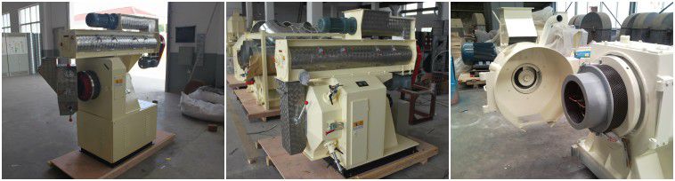 large ring die feed pellet mill