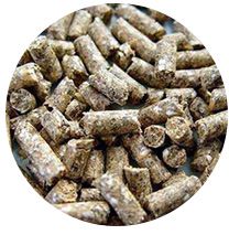 livestock cattle feed pellets