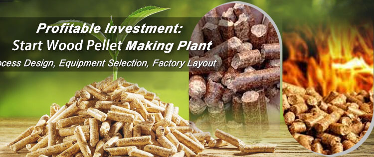 Investing a Wood Pellet Production Plant at Low Cost