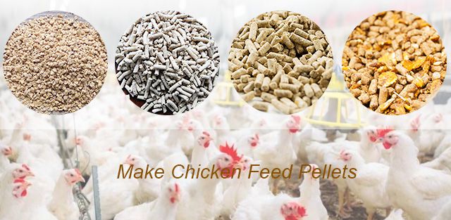 make chicken feed pellets for broiler and layers