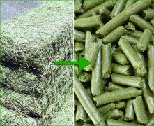make grass pellets