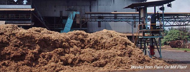 palm wastes from oil mill plant