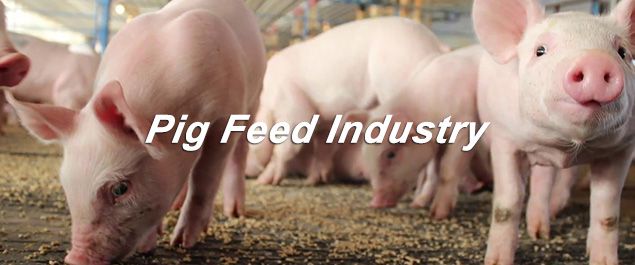 pig feed industry