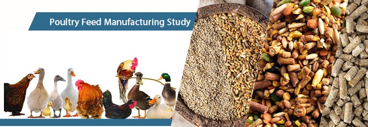 Poultry Feed Pellets Manufacturing Study
