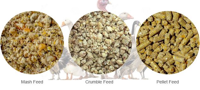 poultry feed processing
