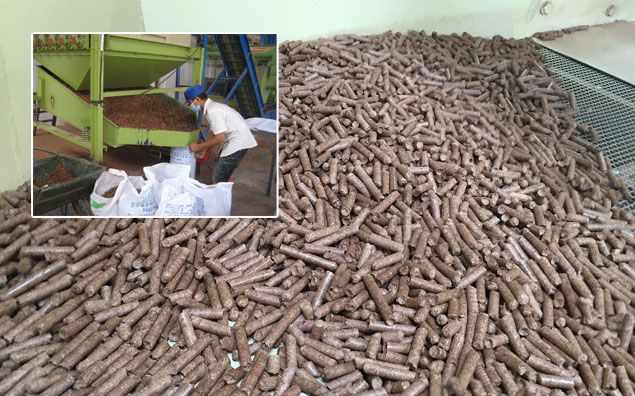 produced wood energy pellets