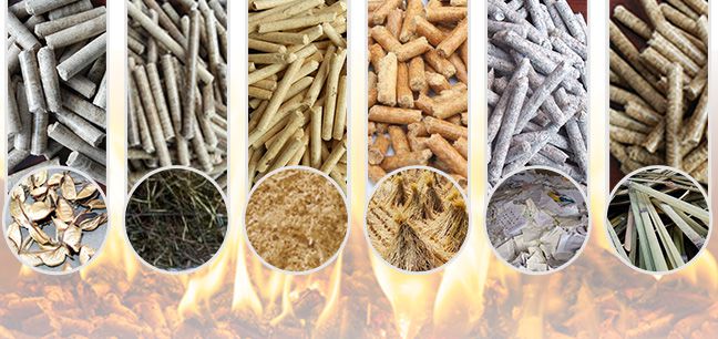Raw Materials And Pellet For Wood Pellet Machine