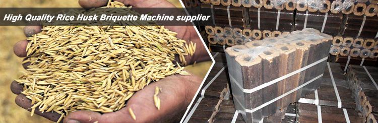 Rice Husk Briquette Machine (Technology & Profit)
