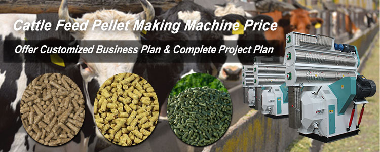 Set Up a Cattle Feed Pellet Plant Business Plan