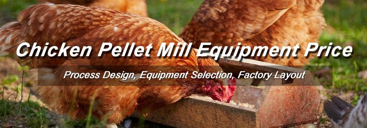 business investment chicken feed pellets mill at home