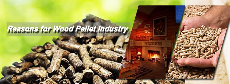3 Reasons for Increasing Wood Pellet Industry
