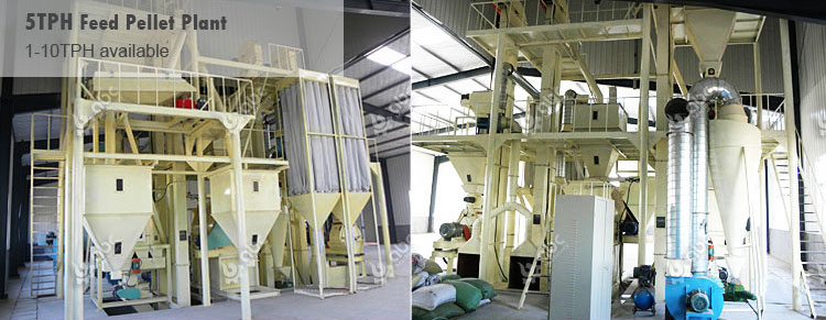 5-10 ton/hour Animal Feed Plant for commerial Business