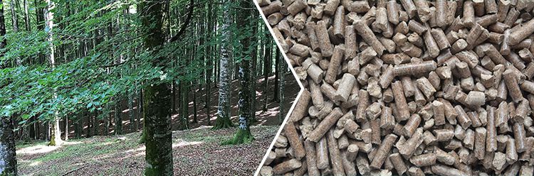 Beech wood pellets made by wood pellet machines
