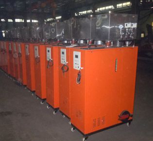 Biomass small steam generator