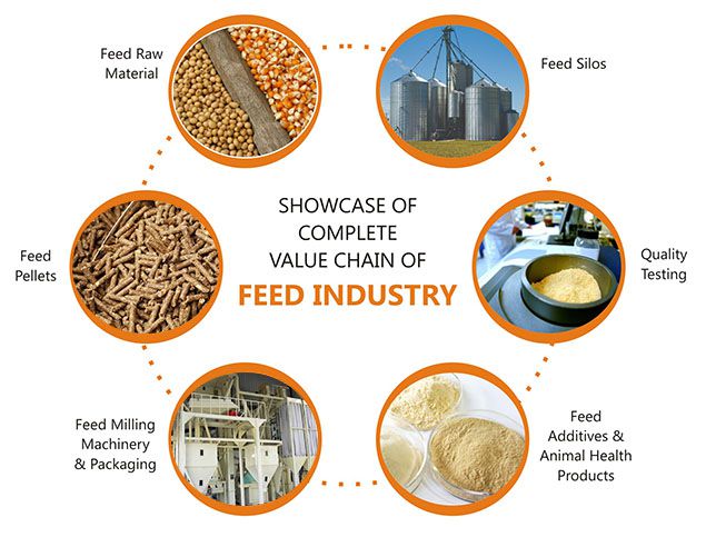 Chile animal feed manufacturing industry