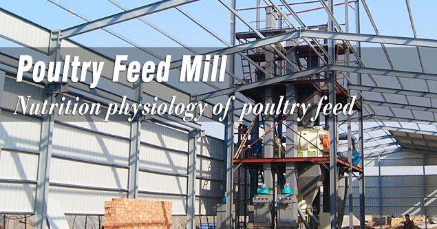 nutrition tips for poultry feed production plant owners