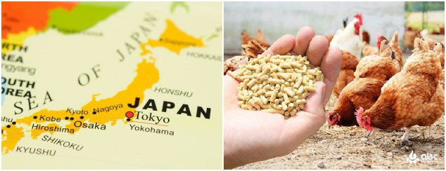 poultry feed industry in Japan
