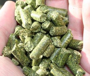 alfalfa pellets