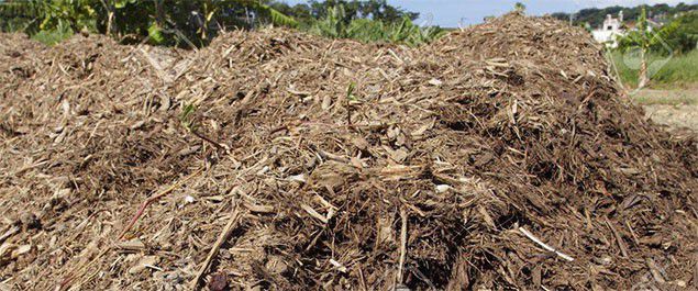 sugarcane bagasse into charcoal briquettes