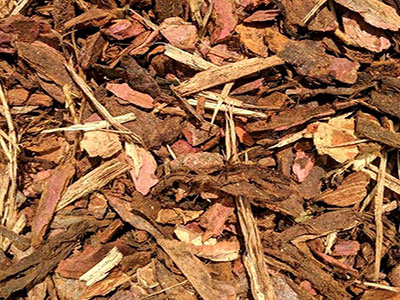 Biomass Material Wood Bark