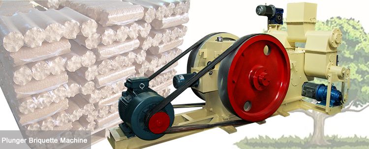 Beech Wood Briquette Machine for Sale