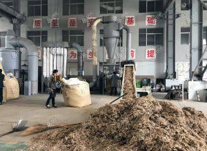 Setup A Pellet Plant for Manufacturing Pellets from Bamboo