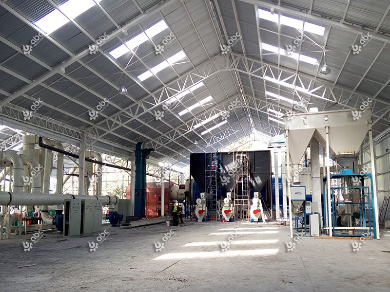 Cost-effective Biomass Pellet Plant in Chile