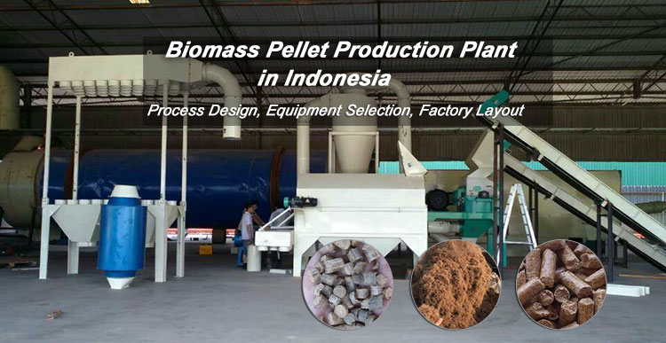 Set up a Biomass Pellet Production Plant in Indonesia