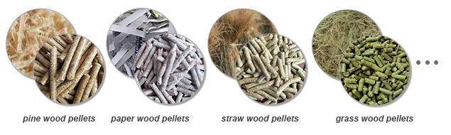  Biomass Wood Pellets