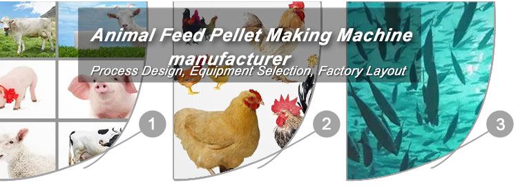 Business Plan for Various Animal Feed Pellets Making