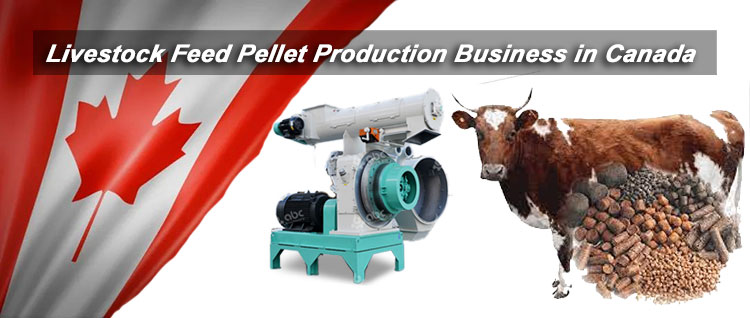 Business Potential for Investing Livestock Feed Pellet Processing Plants in Canada