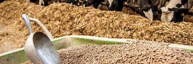 cattle feed pellet production project cost