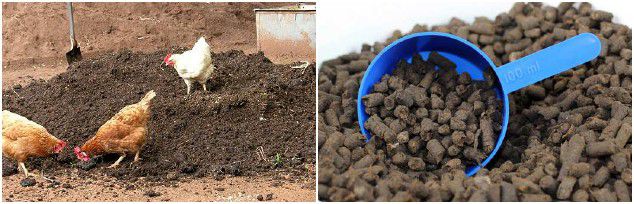 chicken manure pellets manufacturing