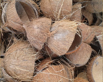 coconut shells