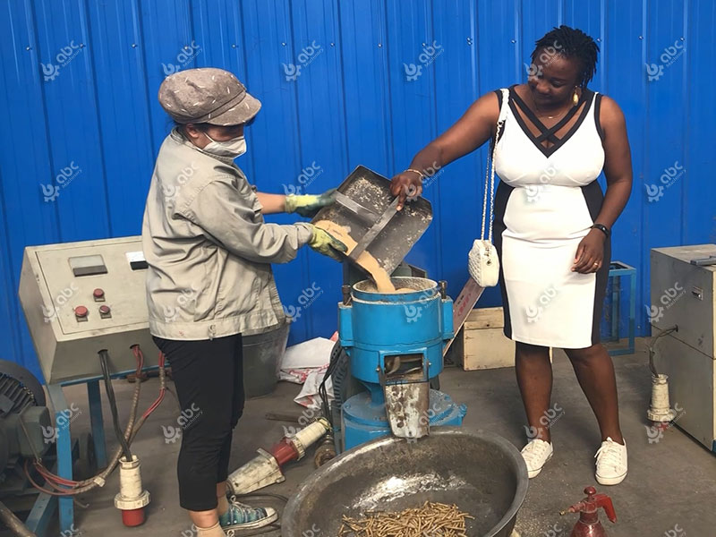 Commissioning of a Pig Feed Pellet Production Project in Nigeria