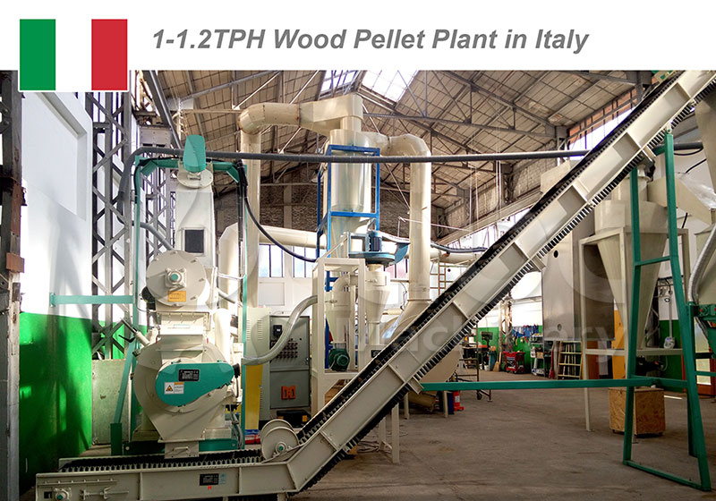 Complete 1-1.2TPH Wood Pellet Plant Setup in Italy