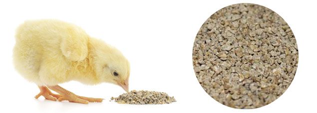 make crumbled feed pellet for chickens