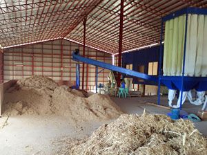 2TPH Elephant Grass Pelletizing Plant in Philippines