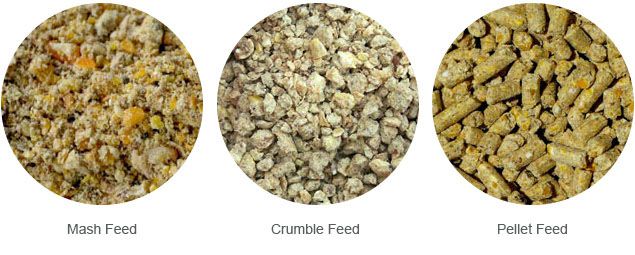 feed mash, feed crumbles and feed pellets