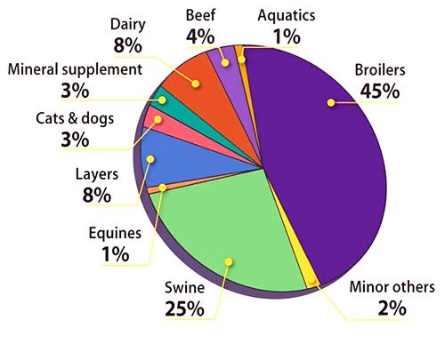 Brazilian poultry feed production market