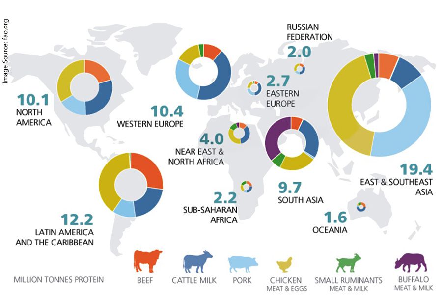 global animal feed production market